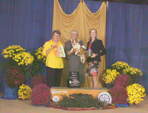 BEST IN SHOW! Sept 2014 - Murfreesboro, TN - AKC "A" Rated Puppy Match. First out of 41 entries! Shown by my mom, Lynn Banks. 